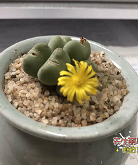 �ҵ�ƨ�ɶ������ˣ�������ѽ