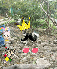 �������ˣ���˭Ҫ����