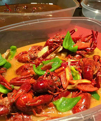 �޿����޵�����Ϻ