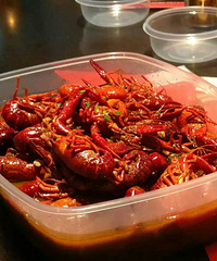 �޿����޵�����Ϻ