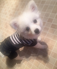 ����ܻ�����̩�Ͼ���