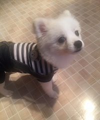 ����ܻ�����̩�Ͼ���