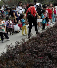 ���빫԰��������