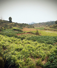 大冷天也要出去溜达