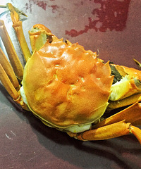 ʳз����ʱ���з���� �������