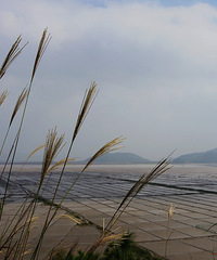 骑游三门核电站小环线