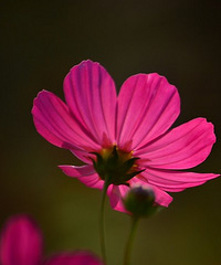 88�걾��MM ���� ���� �����ֹ�