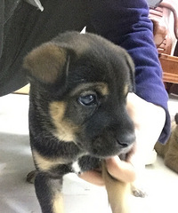 �л���԰Ȯ����������ϵ��