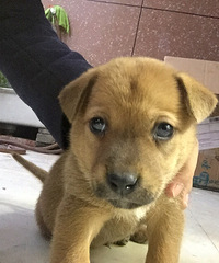 �л���԰Ȯ����������ϵ��