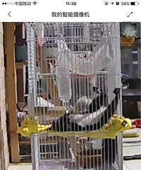 �����˯�ˣ���Ȼ��̫���