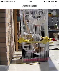 �����˯�ˣ���Ȼ��̫���