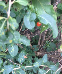 ��������������˻��й��ӣ���۽��꿴����