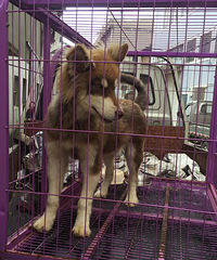 �������ˡ�����ﲻ��������ë�ռ���һ����