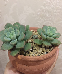 ���������������������!