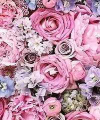 ��ǰ6������ϸ�Ľ�����̳ﱸ�嵥~ ���ؿ�Ŷ��