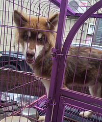 �������ˣ��������ˣ����ﲻ����