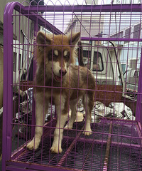 �������ˣ��������ˣ����ﲻ����