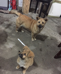 �������㡿��ֻ���ȵ���԰Ȯ