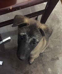 �������㡿��ֻ���ȵ���԰Ȯ