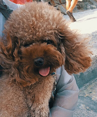 �������㡿+�����ʱ��