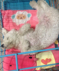 �Ҷ�˯�������ӣ���Գ�Ե�