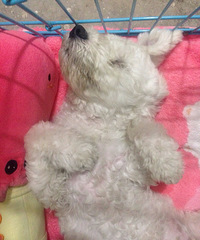 �Ҷ�˯�������ӣ���Գ�Ե�