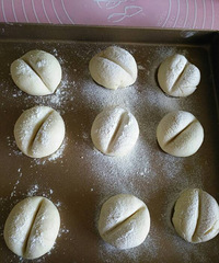 ���ٰ�����D�DPP��