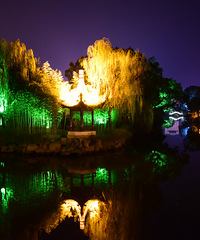 ����ʵʵ ��������