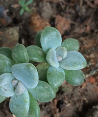 ����֮��������ˣ����ź���Ŷ��