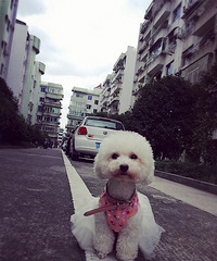 �������㡿ĭĭ