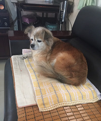 �������㡿���ҳ�ɶ������Ҫ�Եġ�