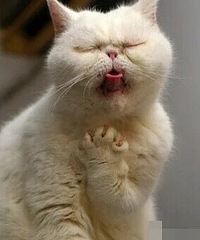 ���������������ǣ�������鲻��