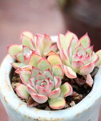 ����ҵĶ���  �������  ���ռ�����  ��ͼ�������