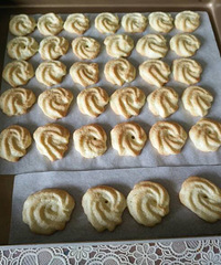 ���Ƽ�������  �ԵĽ���