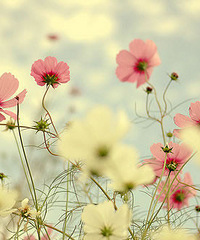 ��������Է����Ѿͻᷢ����������������ϵ�ֽ��