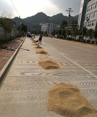 88�������� ��н16-20�� ���� ������