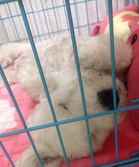 �������㡿