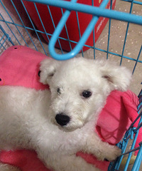 �������㡿