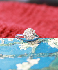 ������ϸ�����ɹ��ɻ�