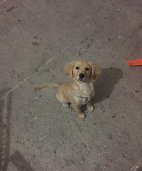 һ������������