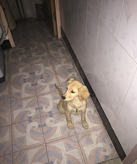 һ������������