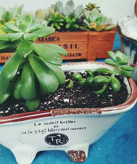 [�ֵ���õ�һ�����]