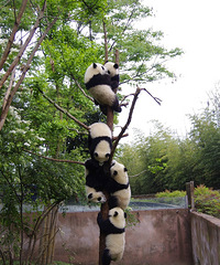 90�꽷������Ů˶ʿ ����