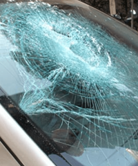 ����������Ŵ�10�������ˣ�ȴ�������ִ��Ұ������Ҽҵĳ�