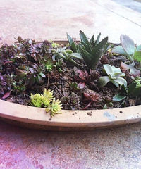 [�ֵ���õ�һ�����]