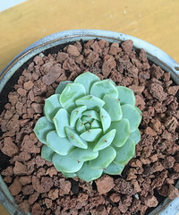 �ֵ���õ�һ�����