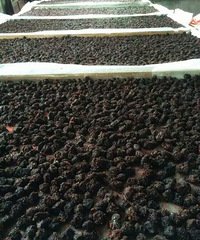 ���Ի���̨�� No.12����������ǳԳԳԣ��óԵ���ʳ