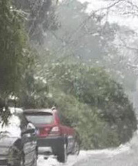 ���첻ע����Щ�����������׼��٣�