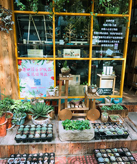 �ſڳɻ�԰��