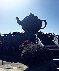 单身节的羊岩山之行